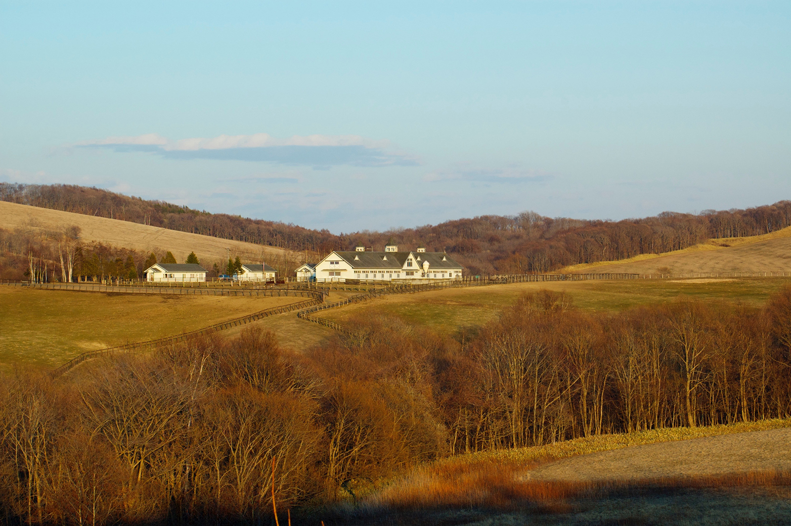 DSC_1515