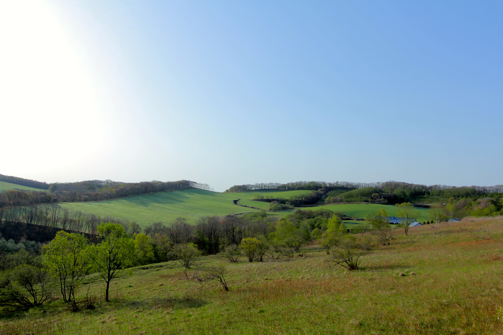 IMG_0011