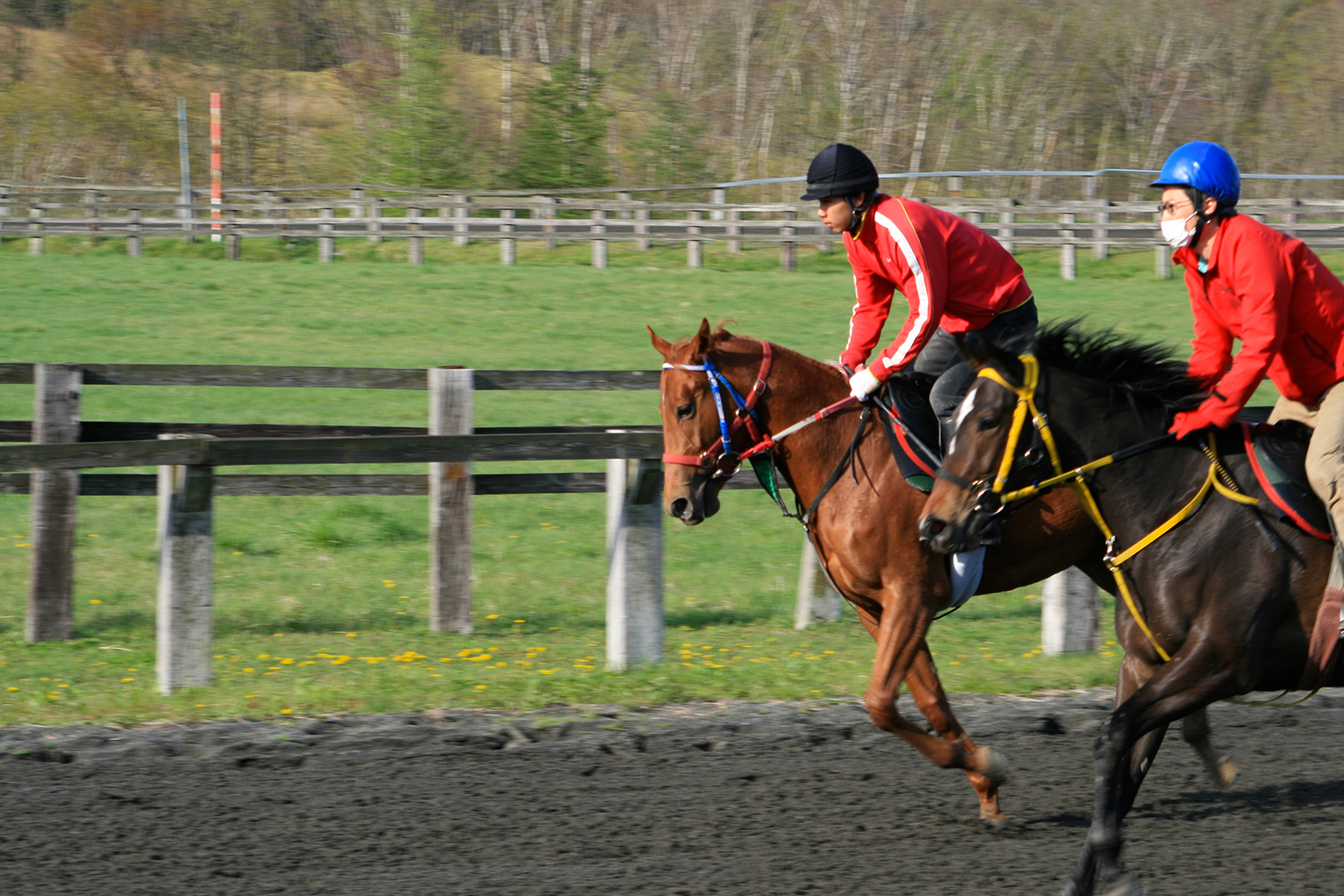 IMG_1782